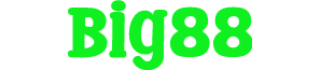 Big88
